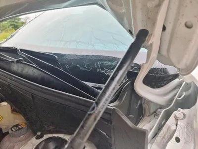 2022 Kia Sorento KNARH81GBNA104319 VIN:KNARH81GBNA104319