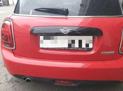 2020 MINI Cooper WMWXR7105L2L77246 VIN:WMWXR7105L2L77246