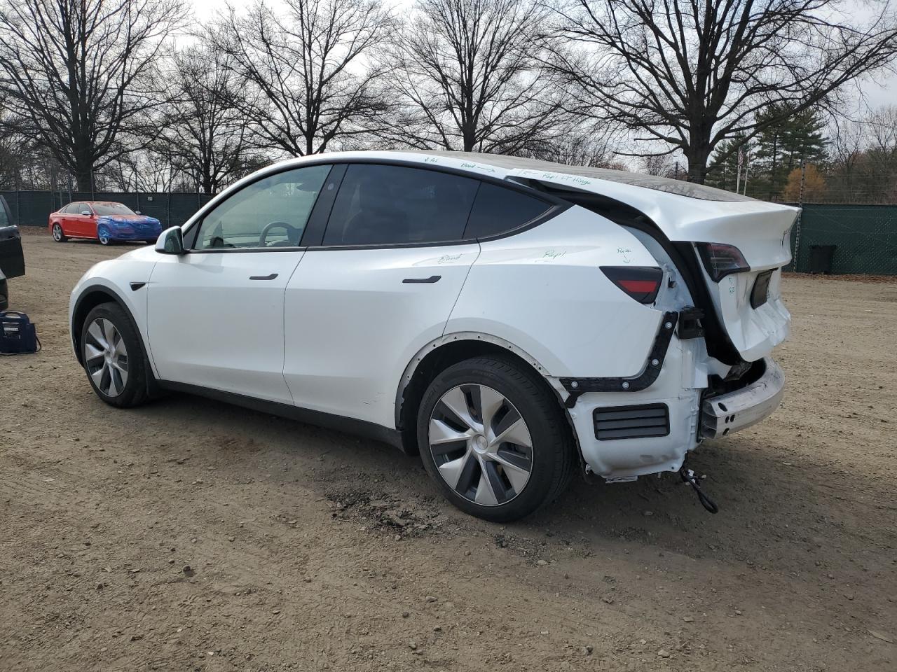 2023 TESLA MODEL Y  VIN:7SAYGDEE6PF836551