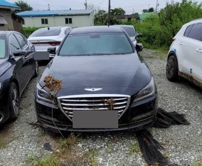 2015 acupuncture nessis 3.3 VIN: