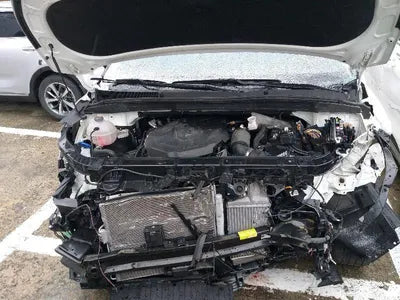 2022 Kia Carnival KNANE81BBPS220161 VIN:KNANE81BBPS220161