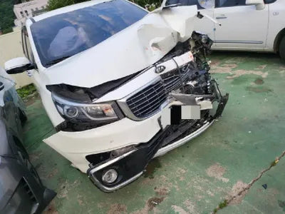 2015 Kia Carnival KNAME81ABFS061664 VIN:KNAME81ABFS061664