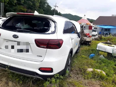 2019 Kia Sorento 657KMKNAPG81ABKA5 VIN:657KMKNAPG81ABKA5