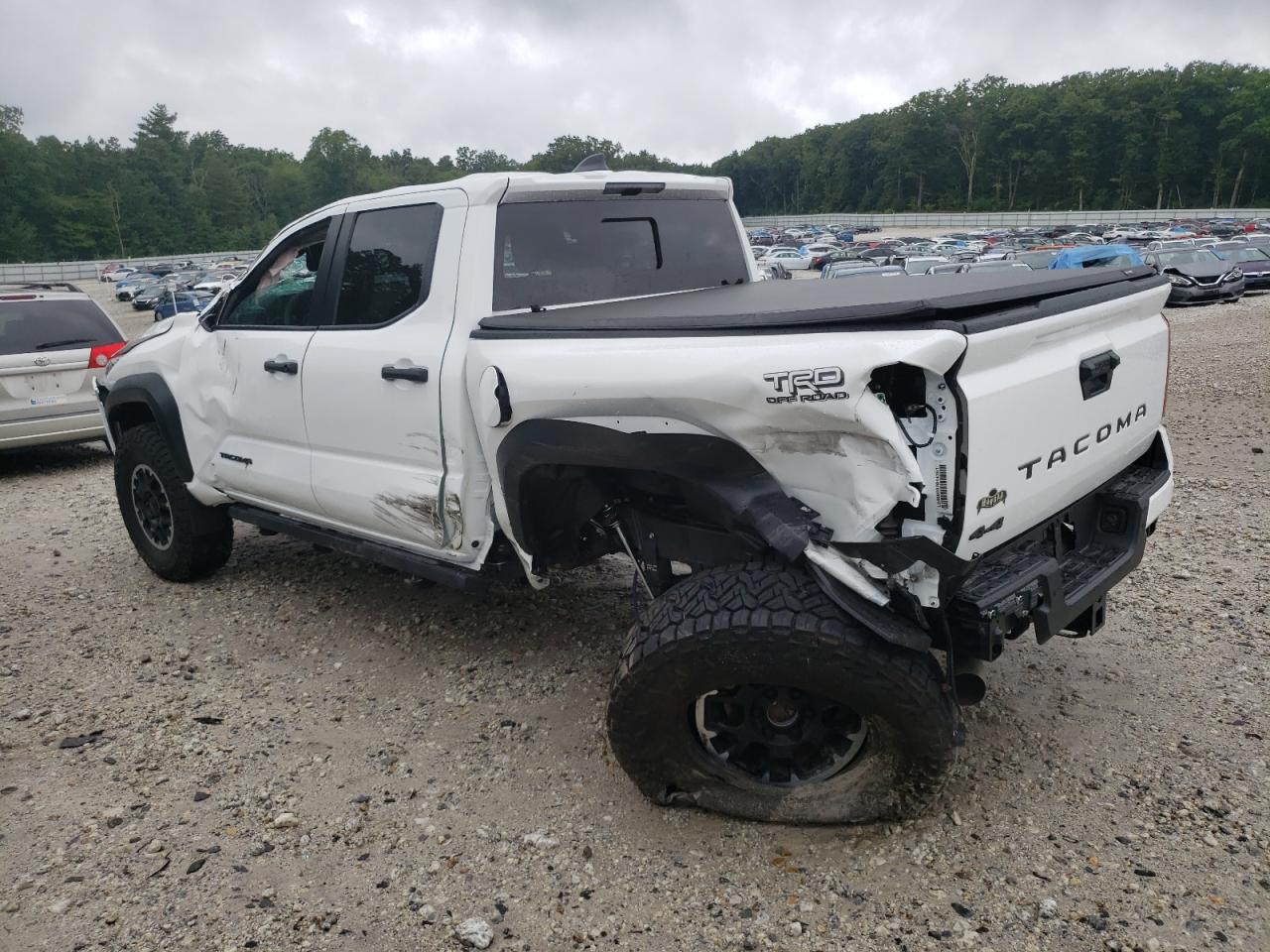 2024 TOYOTA TACOMA DOUBLE CAB VIN:3TMLB5JN8RM012146