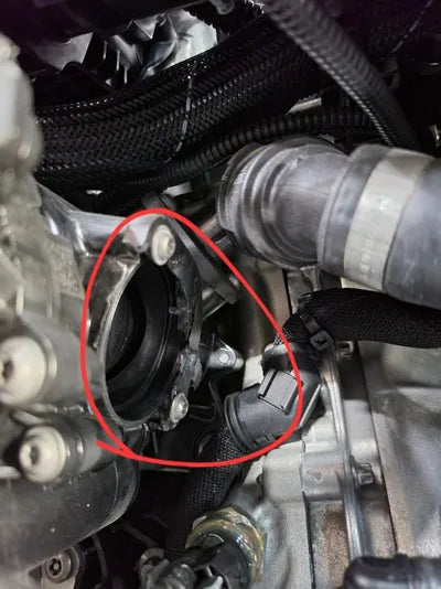 2021 BMW 220 WBA31AL00M7J80036 VIN:WBA31AL00M7J80036