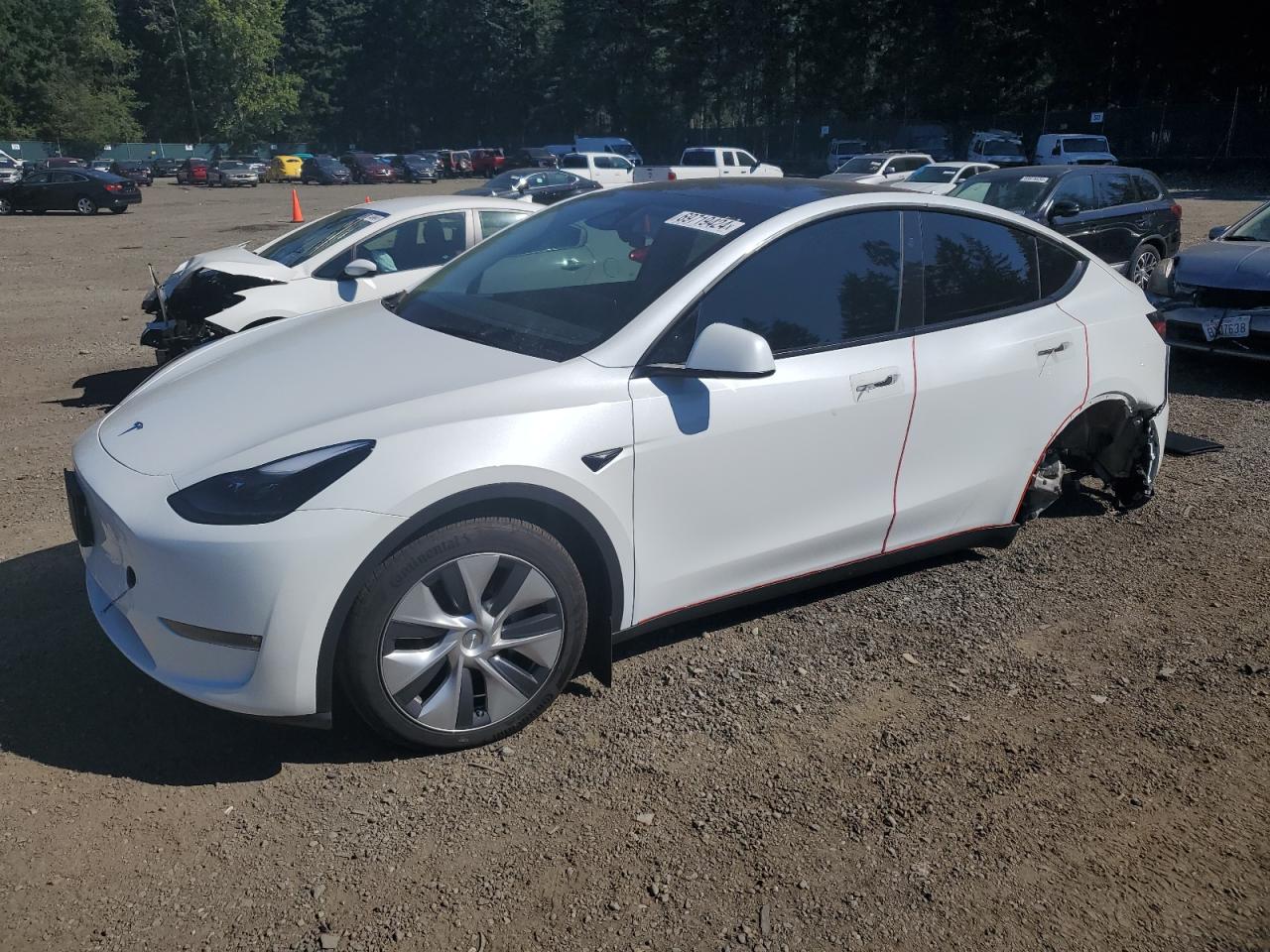 2024 TESLA MODEL Y  VIN:7SAYGDEE5RF047147