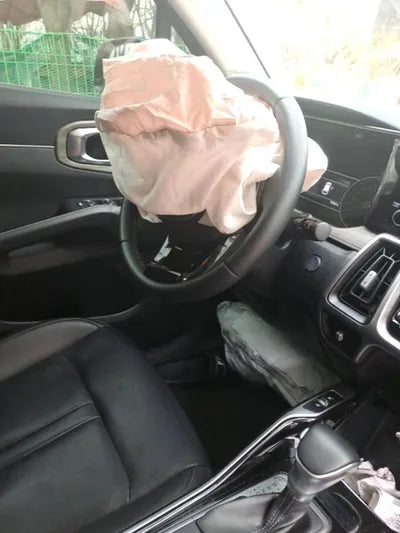 2021 Kia Sorento KNARL81BGMA103199 VIN:KNARL81BGMA103199