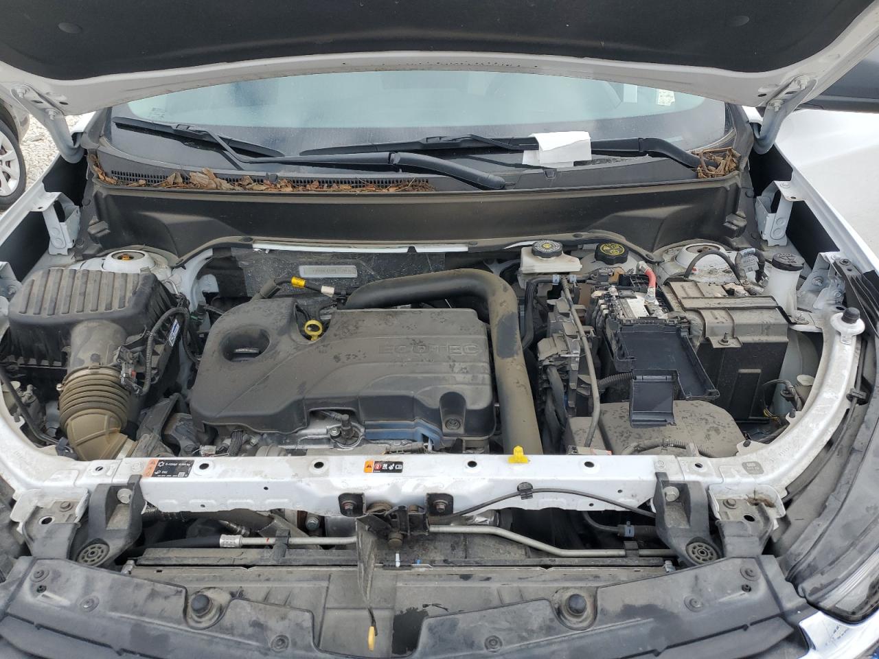 2023 CHEVROLET EQUINOX LS VIN:3GNAXHEG4PL112843