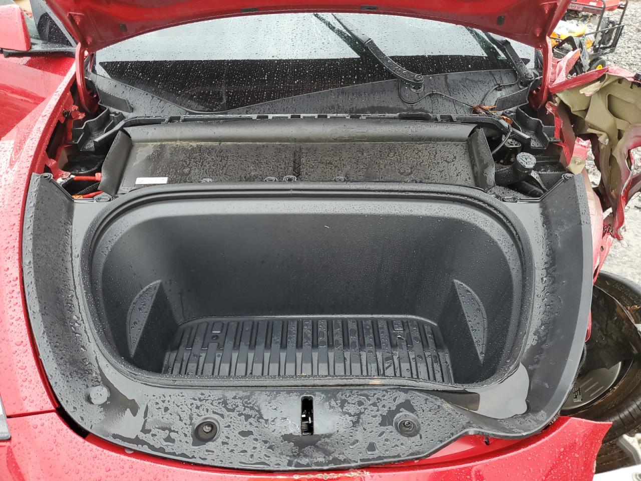 2023 TESLA MODEL Y  VIN:7SAYGDEE4PF877504
