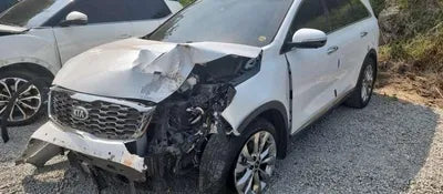 2019 Kia Sorento KNAPS81BBLA564800 VIN:KNAPS81BBLA564800