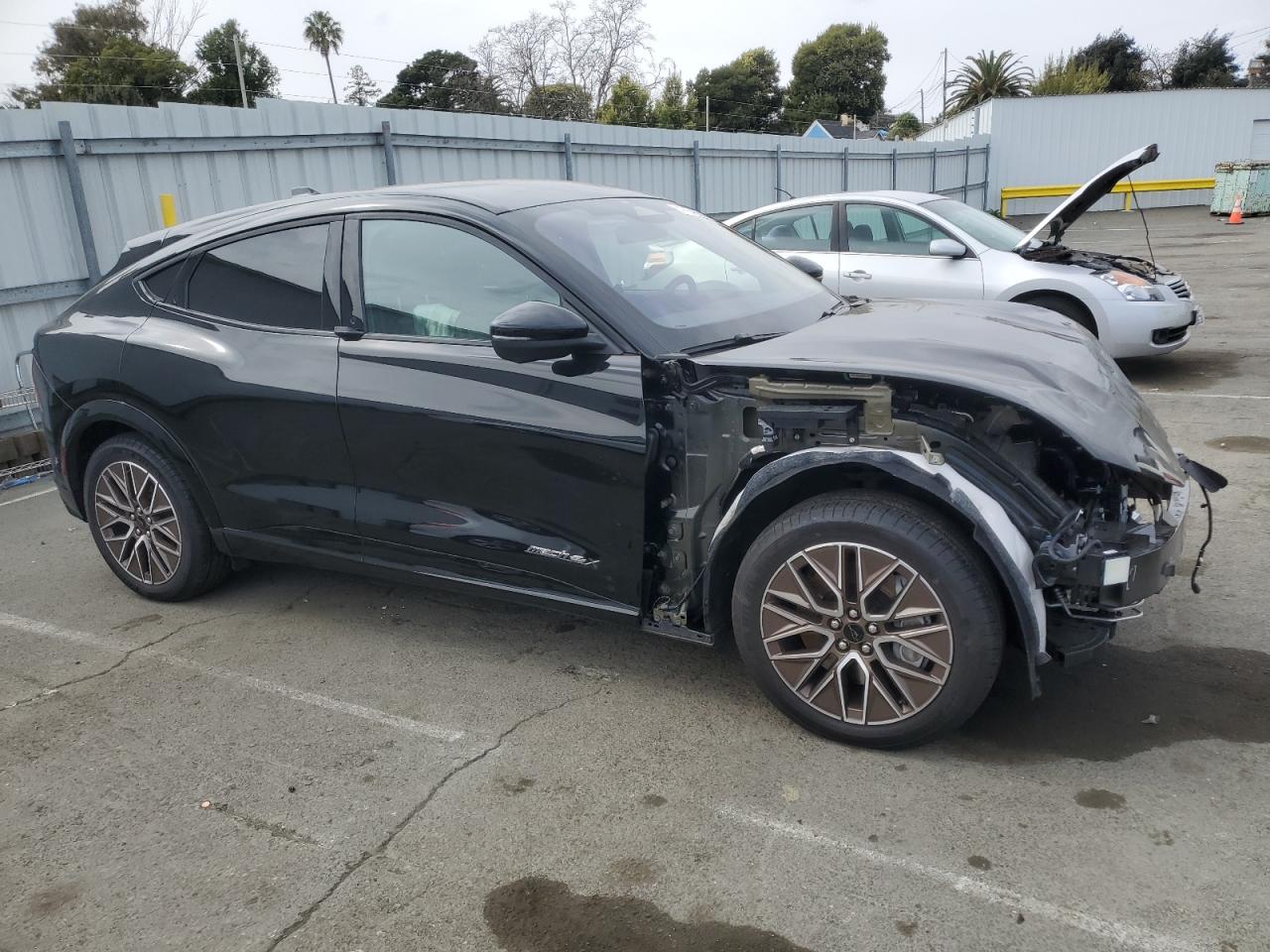 2024 FORD MUSTANG MACH-E PREMIUM VIN:3FMTK3SU0RMA09053
