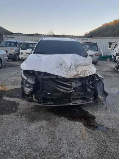 2018 Hyundai Santa FE KMHS281BDKU061175 VIN:KMHS281BDKU061175