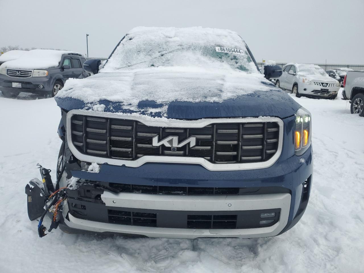 2024 KIA TELLURIDE SX VIN:5XYP5DGC9RG419754
