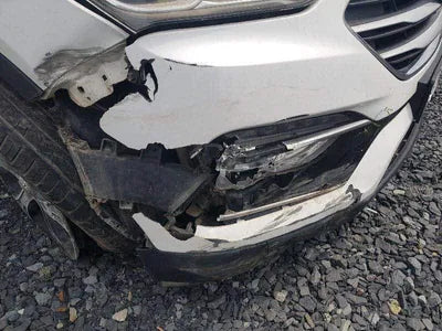 2015 Hyundai Santa FE KMHSW81UDGU600286 VIN:KMHSW81UDGU600286