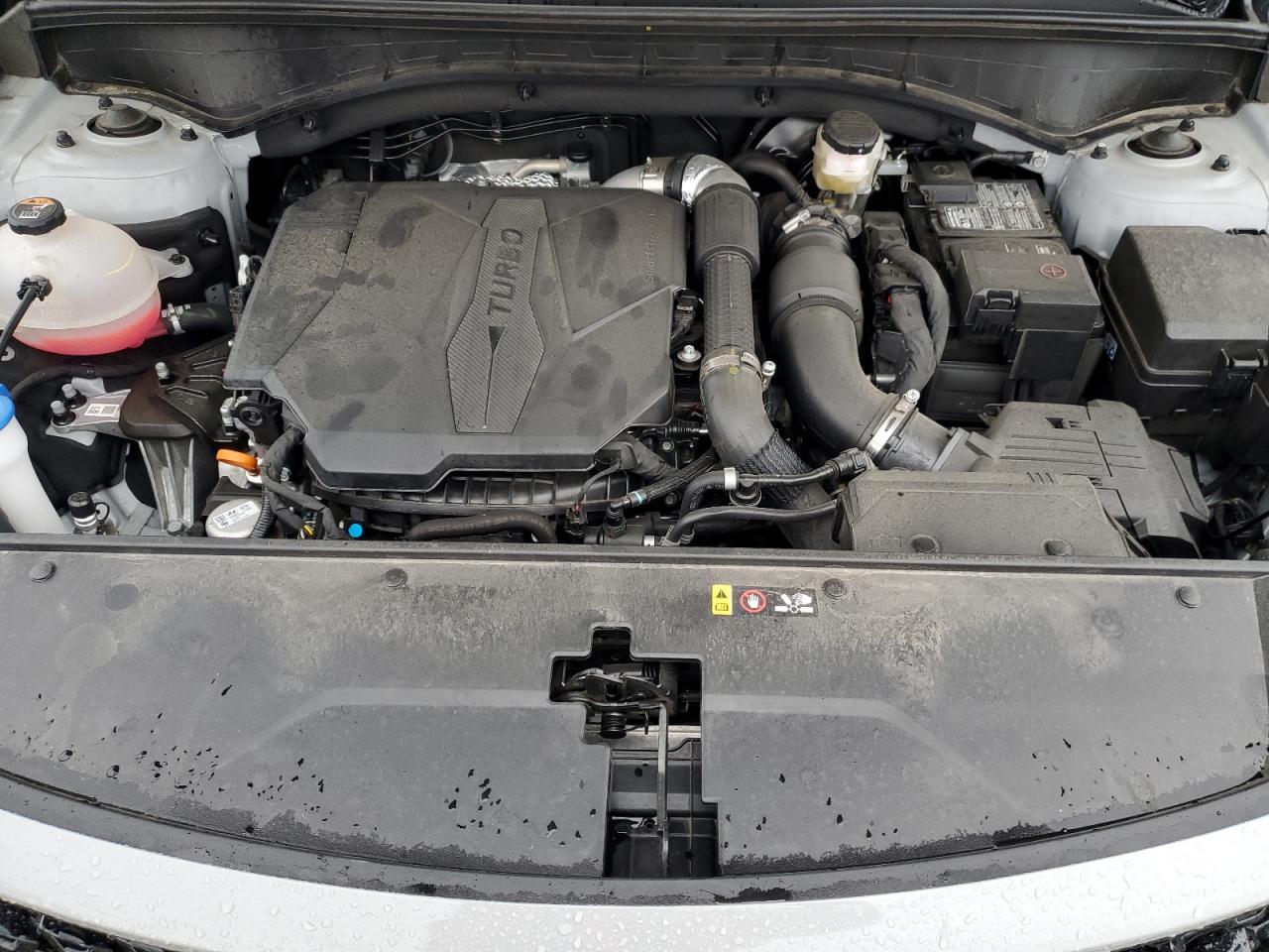 2023 KIA SORENTO SX VIN:5XYRKDLF0PG228948
