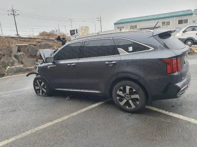 2021 Kia Sorento KNARL81BGMA097542 VIN:KNARL81BGMA097542