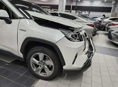 2019 Toyota RAV4 VIN: