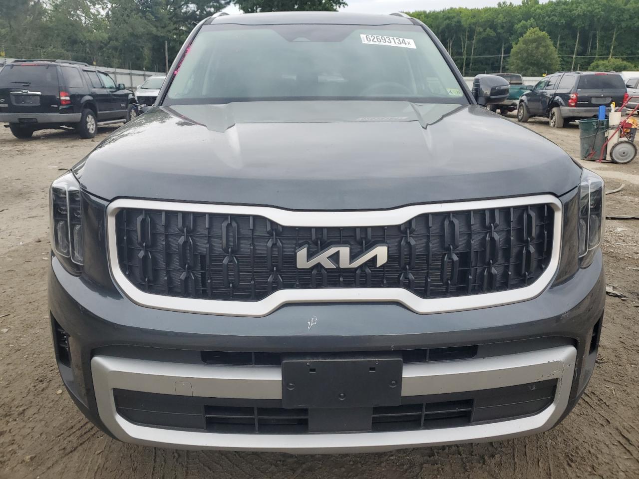 2024 KIA TELLURIDE EX VIN:5XYP3DGC8RG507281