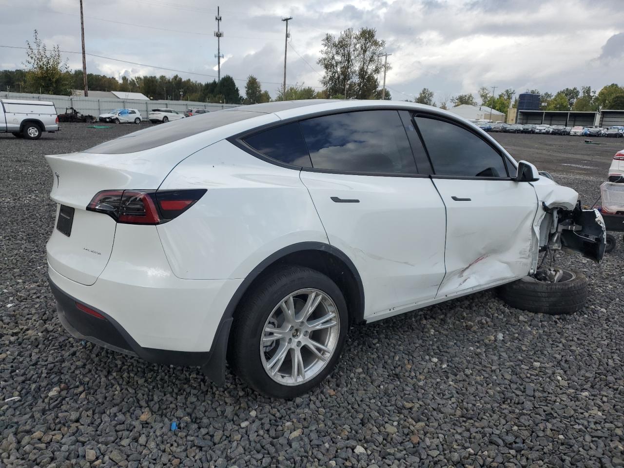 2024 TESLA MODEL Y  VIN:7SAYGDEE1RF084714