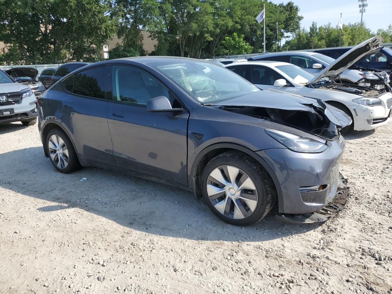 2023 TESLA MODEL Y  VIN:7SAYGDEE7PA212917