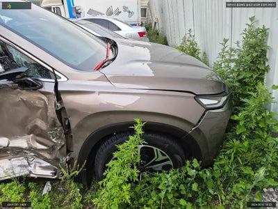 2018 Hyundai Santa FE KMHS381ABKU125516 VIN:KMHS381ABKU125516