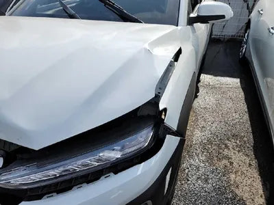 2019 Hyundai Kona KMHK4815GKU365284 VIN:KMHK4815GKU365284