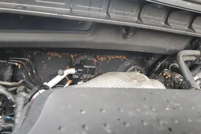 2018 Kia Sorento KNAPG81ADJA456484 VIN:KNAPG81ADJA456484