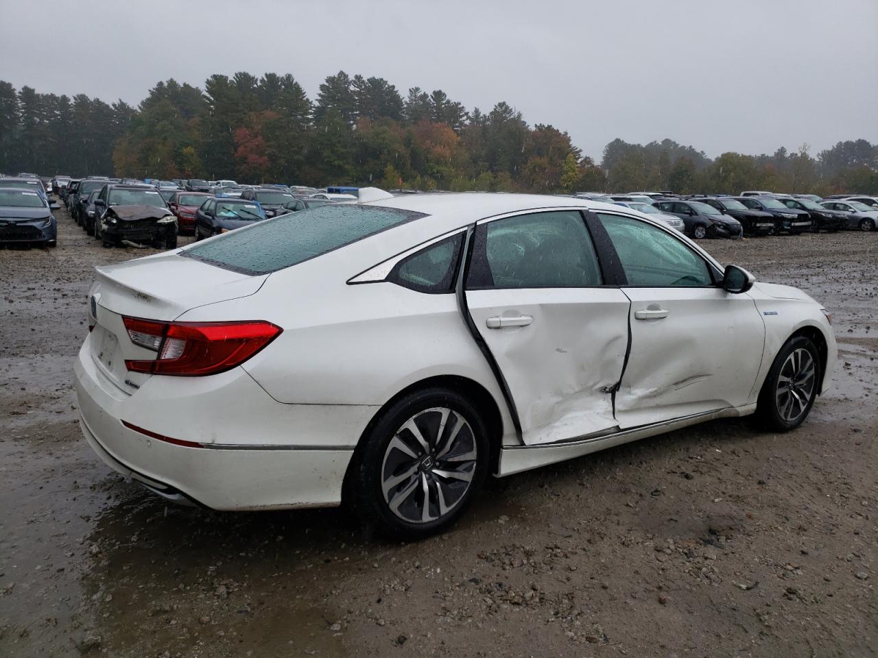 2022 HONDA ACCORD HYBRID EXL VIN:1HGCV3F53NA029885