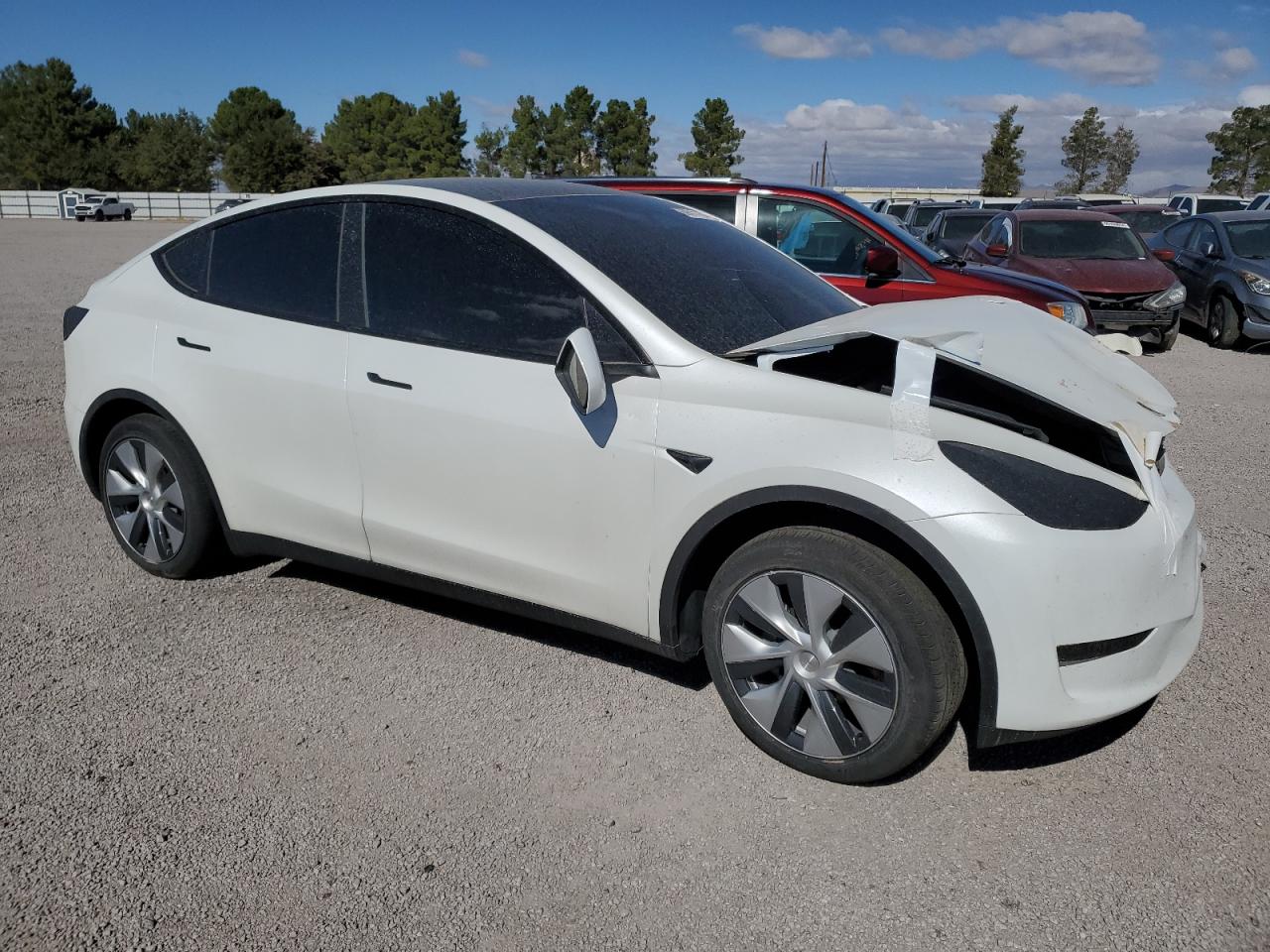 2023 TESLA MODEL Y  VIN:7SAYGDED9PF947084