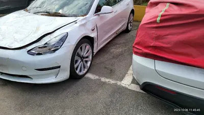 2020 Tesla Model 3 5YJ3E1EB0LF725098 VIN:5YJ3E1EB0LF725098