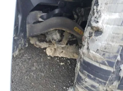 2018 BMW 530 WBAJD9108JWC82754 VIN:WBAJD9108JWC82754