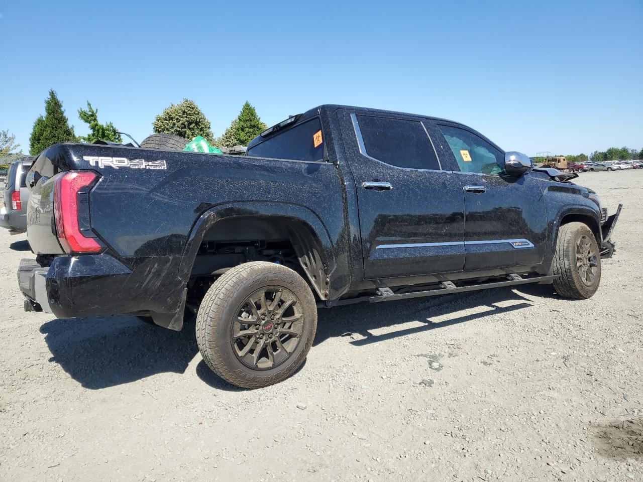 2023 TOYOTA TUNDRA CREWMAX PLATINUM VIN:5TFMA5DBXPX110188