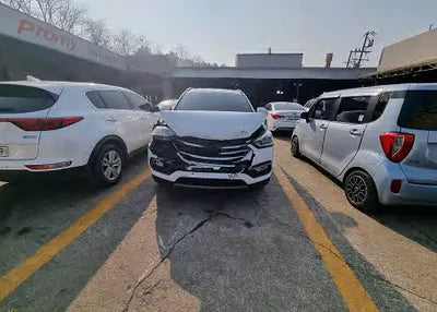 2018 Hyundai Santa FE KMHSW81UBJU834628 VIN:KMHSW81UBJU834628