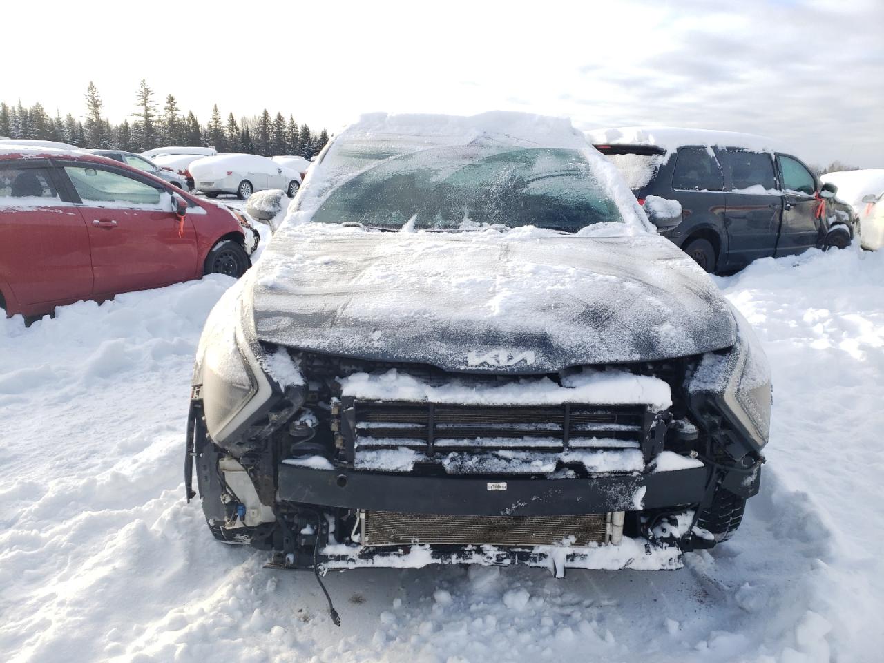 2023 KIA SPORTAGE LX VIN:KNDPU3AF6P7138182