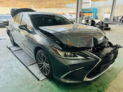 2022 Lexus ES 300 JTHBA1C11N2007419 VIN:JTHBA1C11N2007419