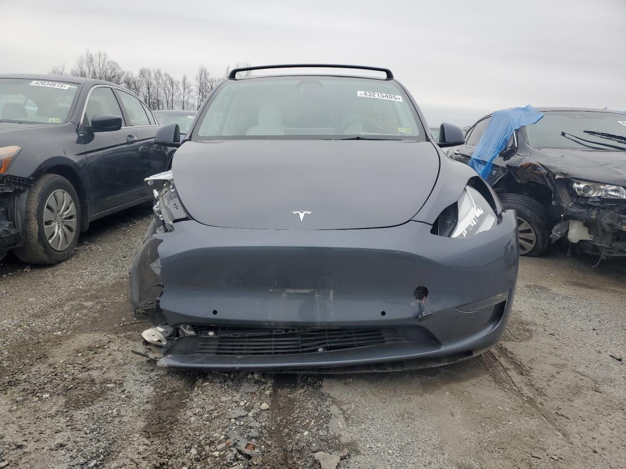 2022 TESLA MODEL Y  VIN:7SAYGDEE3NF319558