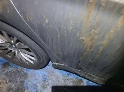 2019 BMW 520 WBAJK7108KGL29283 VIN:WBAJK7108KGL29283