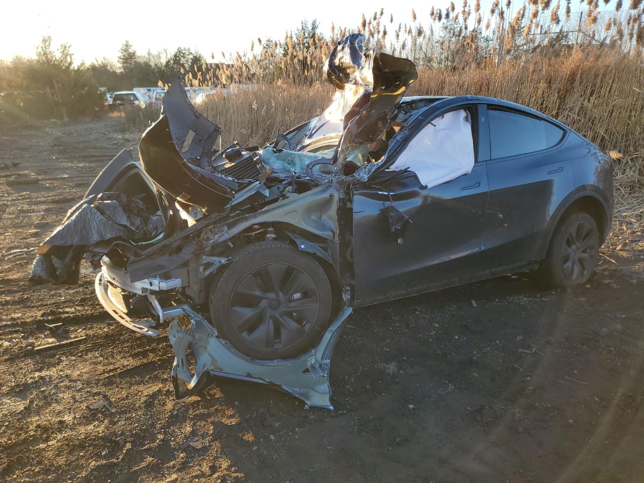 2024 TESLA MODEL Y  VIN:7SAYGDEE4RA319880