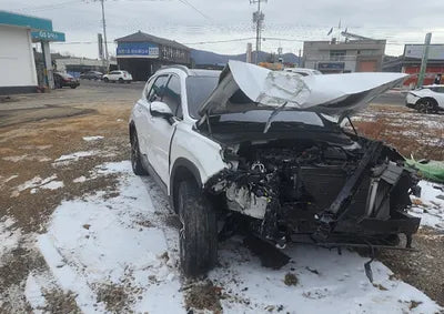 2019 Hyundai Santa FE KMHS381BBKU035744 VIN:KMHS381BBKU035744