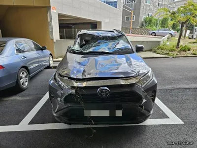 2019 Toyota RAV4 VIN: