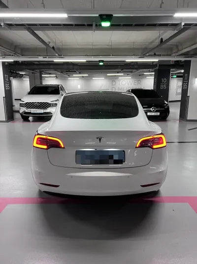 2019 Tesla Model 3 VIN: