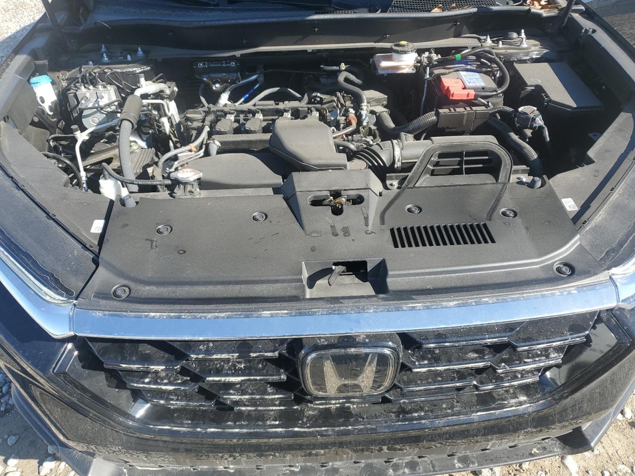 2024 HONDA CR-V EXL VIN:5J6RS3H73RL007194