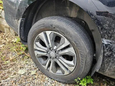 2019 Kia Carnival KNAMB81ABKS591217 VIN:KNAMB81ABKS591217