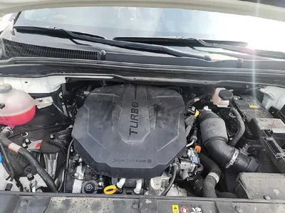 2021 Kia Carnival KNANE81BBMS102672 VIN:KNANE81BBMS102672