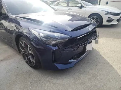 2019 Kia Stinger KNAE751CBKS060934 VIN:KNAE751CBKS060934