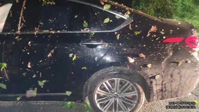 2017 Genesis G80 VIN: