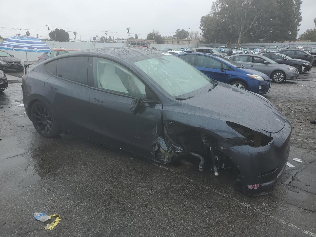 2024 TESLA MODEL Y  VIN:7SAYGDED5RF054851