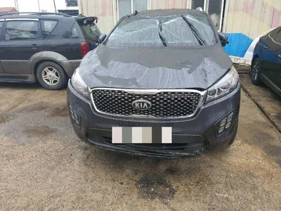 2016 Kia Sorento KNAPS81ABGA258749 VIN:KNAPS81ABGA258749
