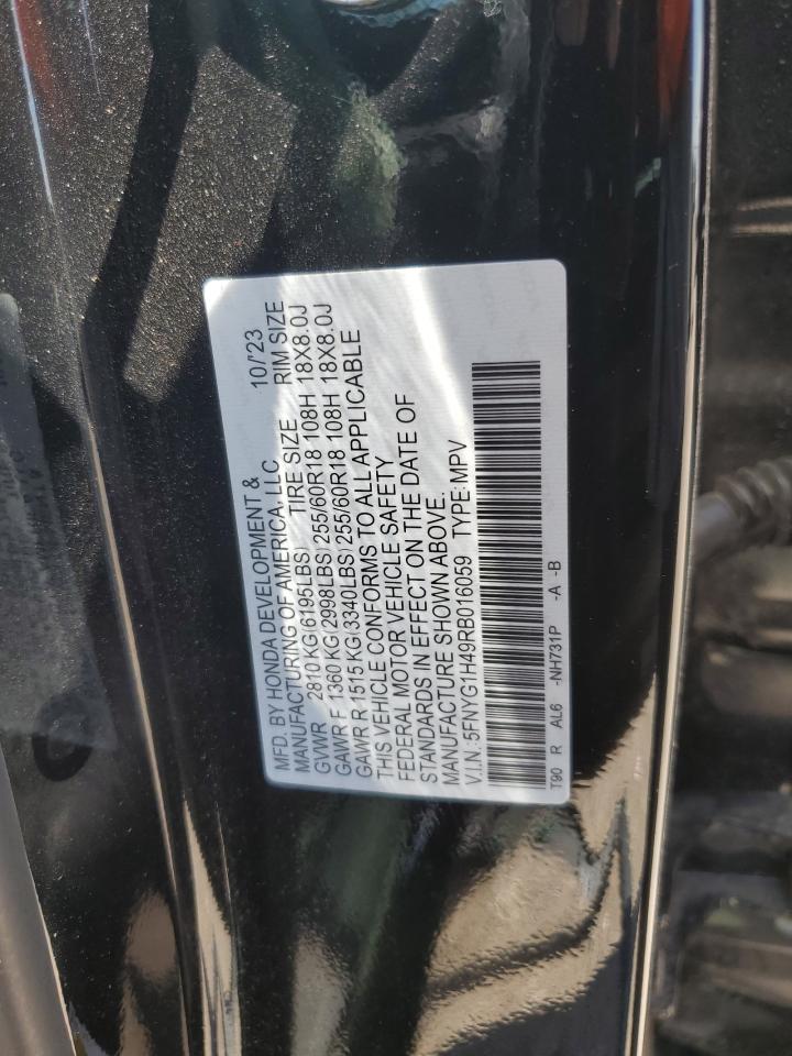 2024 HONDA PILOT EXL VIN:5FNYG1H49RB016059