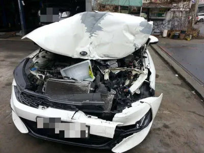 2020 Kia K5 KNAG1412BLA056173 VIN:KNAG1412BLA056173